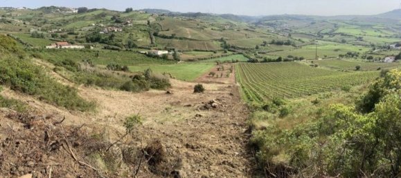 Grundstück in Torres Vedras, Portugal 90073m², Nr. 254531 9