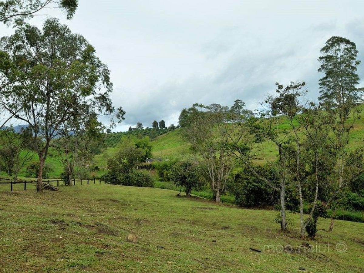  Land in Antioquia, Colombia No. 409