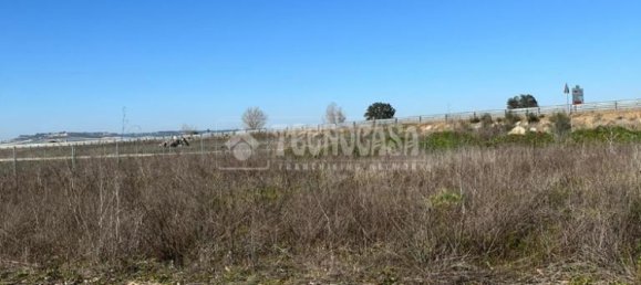 Terreno em Villanueva de Duero, Spain 1015 m² N.º 89699 10