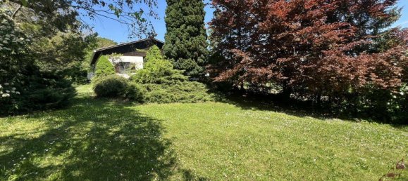 3-Zimmer Haus in Großrußbach, Austria, Nr. 255882 6