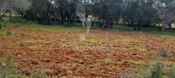 Terrain à Quelfes, Portugal 1620m² No. 36004 6