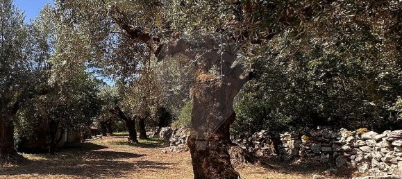 Дом с 2 спальнями в Ансиан, Португалия № 36533 5