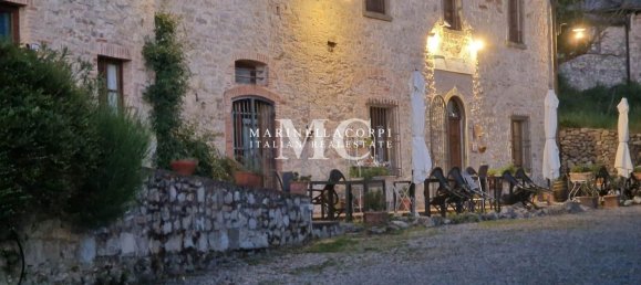 Дом с 30 комнатами в Кастеллина ин Кьянти, Италия № 57598 3