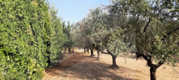 Земельный участок в Монтесильвано, Италия № 20162 5