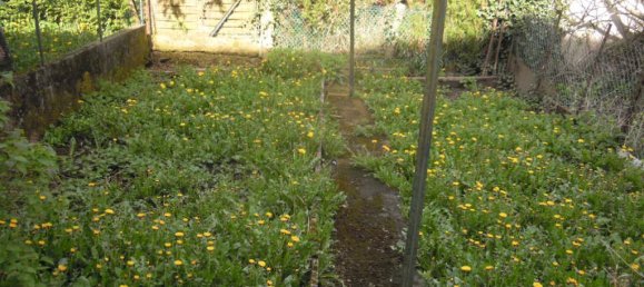 1 Schlafzimmer Haus in Revin, France, Nr. 71236 8