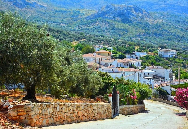 637m² Land in Periana, Spain No. 227315