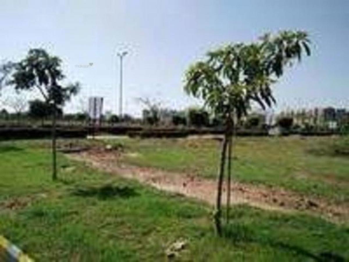  قطعة أرض في Mohali, India رقم 36223