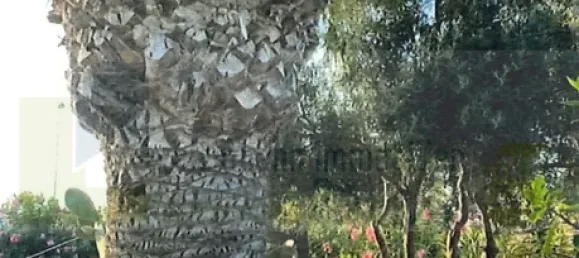 4 غرف نوم تاون هاوس في Erzgebirgskreis, Germany رقم 27910 20