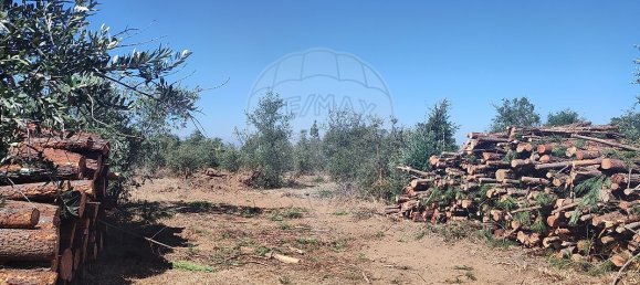 2 chambres Maison à Abrantes, Portugal No. 20158 21