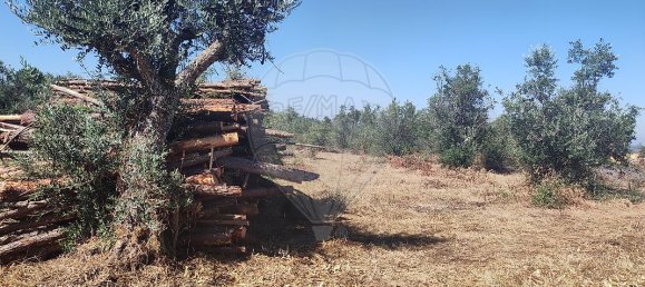 2 chambres Maison à Abrantes, Portugal No. 20158 15