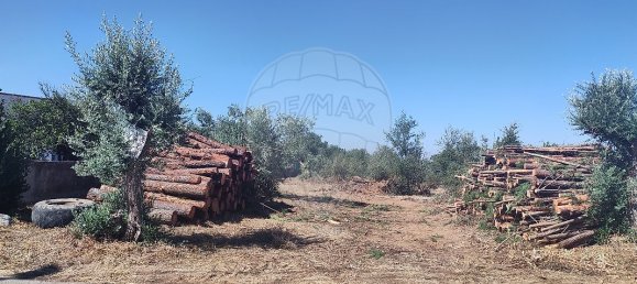 2 chambres Maison à Abrantes, Portugal No. 20158 20