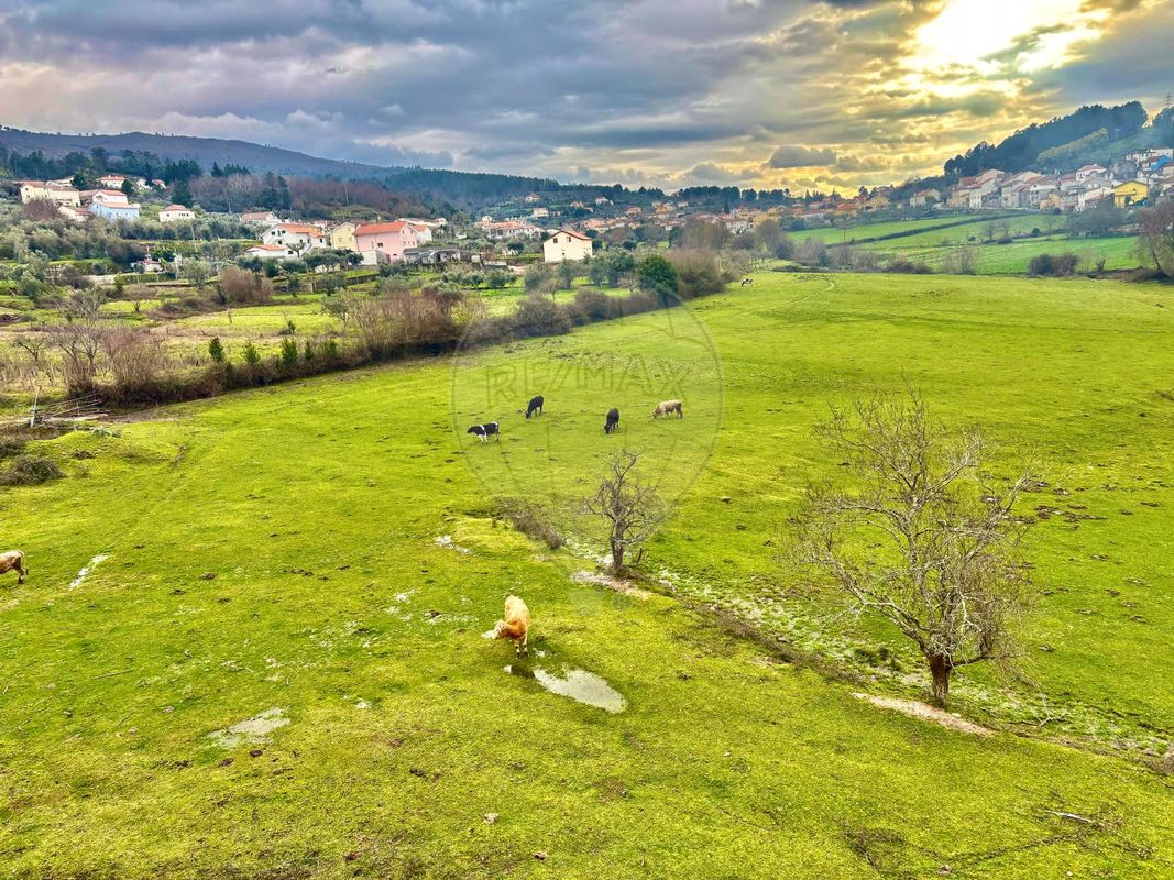 5 غرف نوم منزل في Sao Paio, Portugal رقم 31811