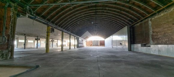 15 rooms Warehouse in San Giorgio Monferrato, Italy No. 293766 14