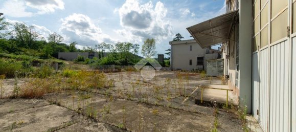 15 rooms Warehouse in San Giorgio Monferrato, Italy No. 293766 6