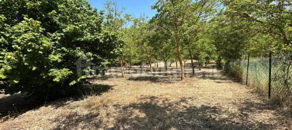 2400m² Land in Caporciano, Italy No. 296487 5