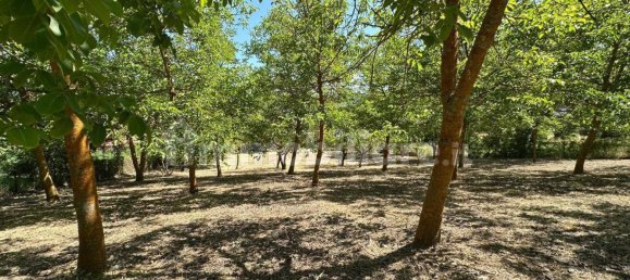 2400m² Land in Caporciano, Italy No. 296487 2