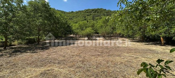 2400m² Land in Caporciano, Italy No. 296487 8