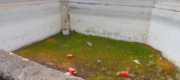 4 bedrooms House in Arafo, Spain No. 40495 18