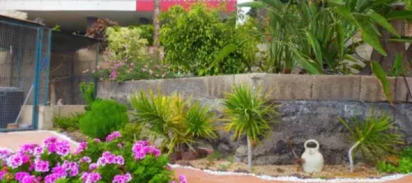 4 bedrooms House in Arafo, Spain No. 40495 8