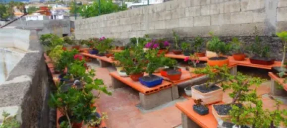 4 bedrooms House in Arafo, Spain No. 40495 16