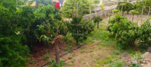 4 bedrooms House in Arafo, Spain No. 40495 6