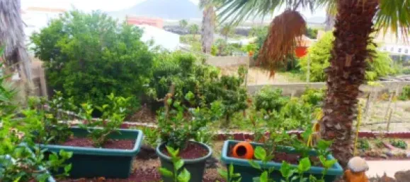 4 bedrooms House in Arafo, Spain No. 40495 3