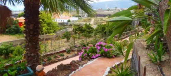 4 bedrooms House in Arafo, Spain No. 40495 23