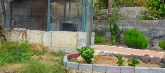 4 bedrooms House in Arafo, Spain No. 40495 9