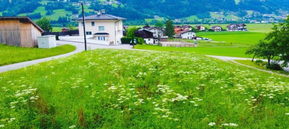  Land in Stumm, Austria No. 147708 4