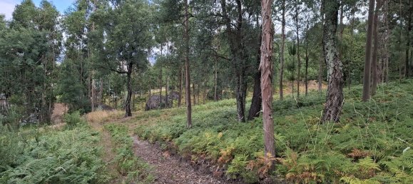 Grundstück in Fafe, Portugal 10636m², Nr. 213438 4