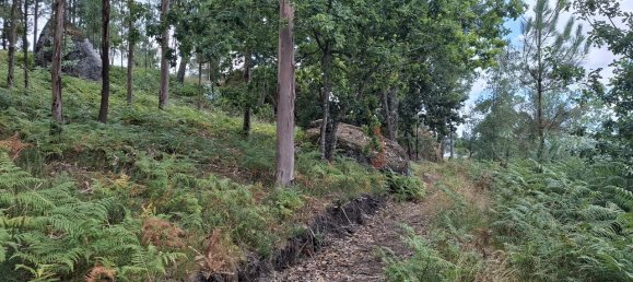 Grundstück in Fafe, Portugal 10636m², Nr. 213438 6