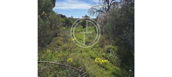 Grundstück in Faro, Portugal 64840m², Nr. 92342 6