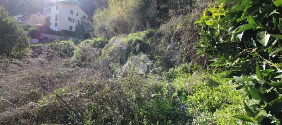 3 rooms House in Chiavari, Italy No. 38451 20