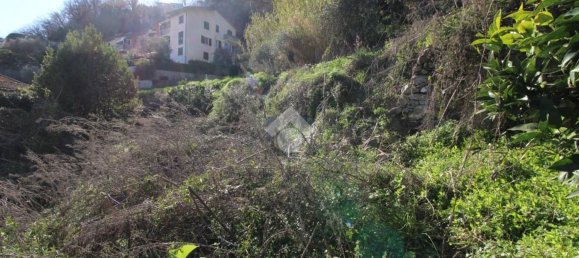 3 rooms House in Chiavari, Italy No. 38451 34