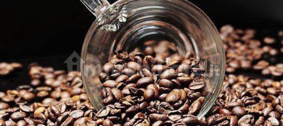 Imóvel comercial de 1 divisão em Legnago, Italy N.º 201980 17