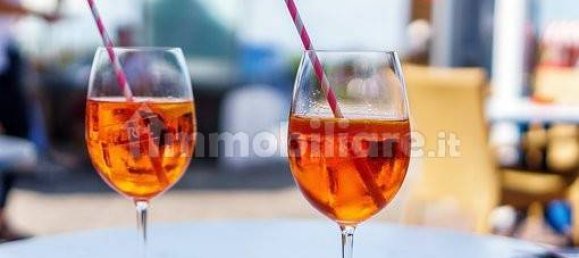 Imóvel comercial de 1 divisão em Legnago, Italy N.º 201980 3