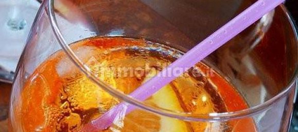 Imóvel comercial de 1 divisão em Legnago, Italy N.º 201980 4