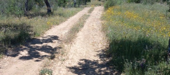 Terreno em Grândola, Portugal 500 m² N.º 206337 7