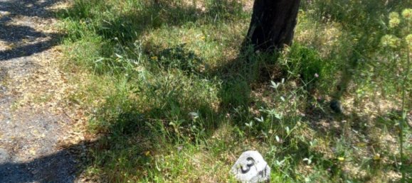 Terreno em Grândola, Portugal 500 m² N.º 206337 6