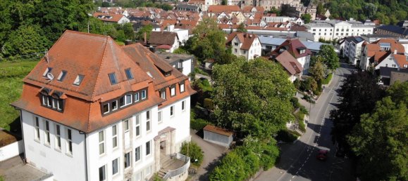 Gewerbliche Immobilie in Sigmaringen, Germany 1075m², Nr. 67611 2