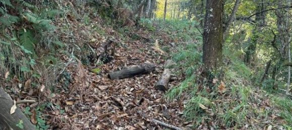 Villa de 2 habitaciónes en Pignone, Italy No. 33684 7