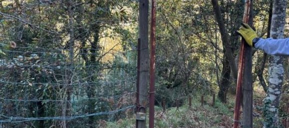 Villa de 2 habitaciónes en Pignone, Italy No. 33684 5