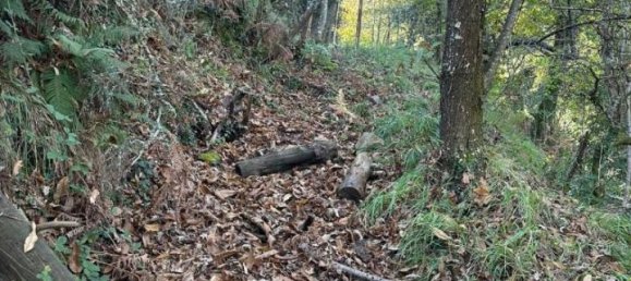 Villa de 2 habitaciónes en Pignone, Italy No. 33684 6