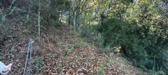 Villa de 2 habitaciónes en Pignone, Italy No. 33684 39