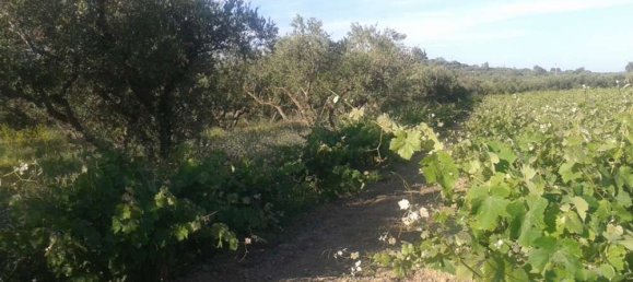  Hotel in Zakynthos, Greece No. 592 7