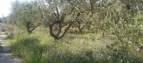  Hotel in Zakynthos, Greece No. 592 10