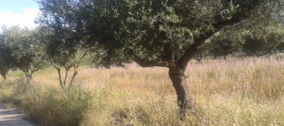  Hotel in Zakynthos, Greece No. 592 12