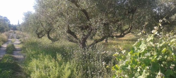  Hotel in Zakynthos, Greece No. 592 8