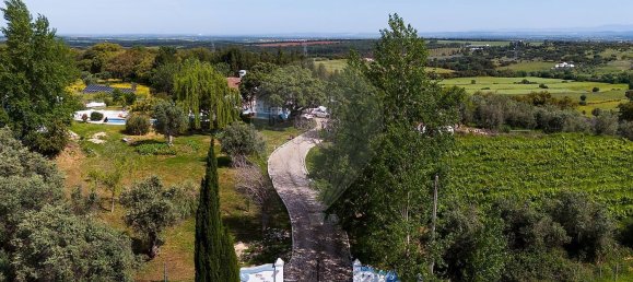 6 bedrooms House in Estremoz, Portugal No. 141036 26