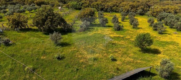 6 bedrooms House in Estremoz, Portugal No. 141036 29